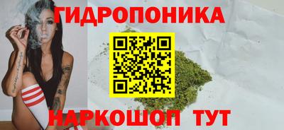 spice Бузулук