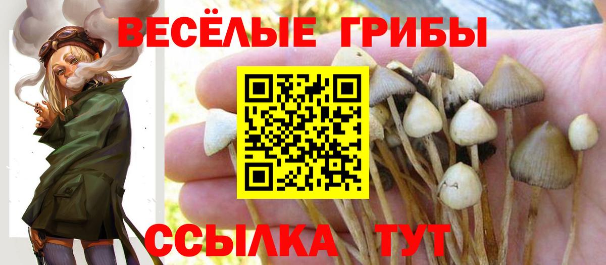 Галлюциногенные грибы Psilocybine cubensis  Вход с VPN  Минусинск  Галлюциногенные грибы Cubensis 